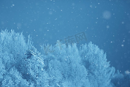 抽象背景风景冬天森林/霜覆盖的树枝，下雪的天气圣诞节背景