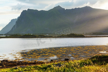 挪威北部罗福腾群岛的美丽风景。夏天到了。