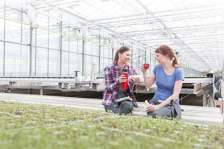微笑的女性植物学家享受咖啡休息，而坐在温室