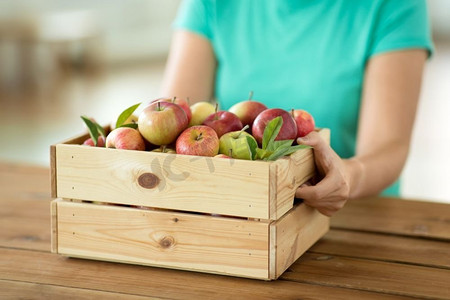 成熟的苹果摄影照片_农业，园艺和收获概念—妇女与木箱成熟的苹果。一个带着熟苹果的木箱的女人