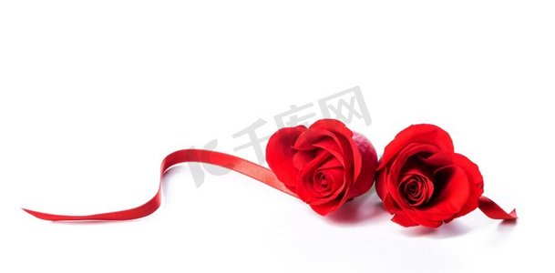 情人节，白色背景上孤立的两朵心形红玫瑰和丝带。两朵心形红玫瑰