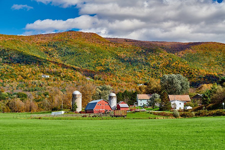 红色佛摄影照片_有红色谷仓和筒仓的农场在晴朗的秋天在西阿灵顿，佛蒙特州，美国