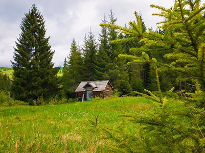 风景如画的春天场景与木制小屋在郁郁葱葱的牧场被松树环绕。在针叶林中间的老房子。