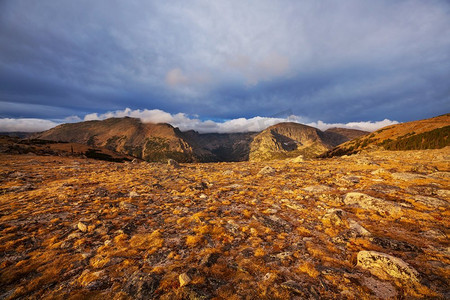 林木摄影照片_科罗拉多州的落基山脉