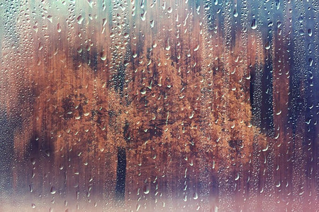  玻璃，秋天，背景，湿