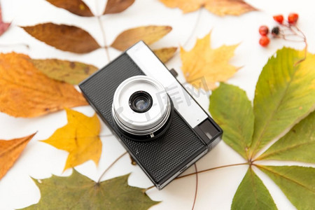 摄影和季节概念-胶片相机和白色背景下的秋叶。胶片摄影机和白色背景上的秋叶