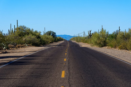 saguaro摄影照片_Saguaro国家公园的一条高速公路穿过典型的索诺兰沙漠风景