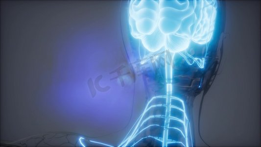 科学解剖扫描人脑发光。人脑放射学检查