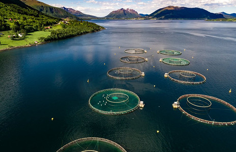 挪威的农场鲑鱼捕捞空中摄影。