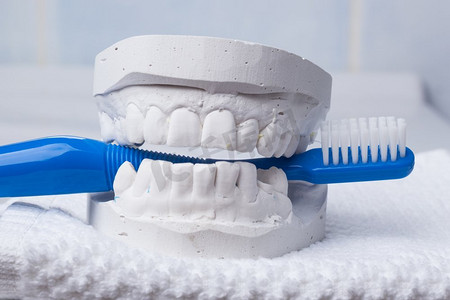 口腔卫生健康概念。特写镜头蓝色牙刷在牙科石膏模型石膏
