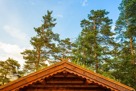 挪威典型的乡村别墅屋顶上有草。挪威房子与草屋顶