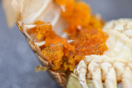新鲜生鸡蛋虾或平头龙虾、虾蛋、tobiko