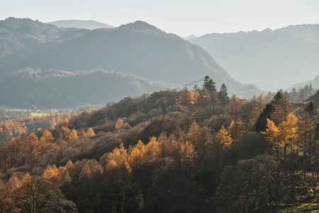 从湖区的卡特贝尔拍摄的令人惊叹的秋季景观图像，鲜艳的秋季色彩被下午晚些时候的阳光照射着
