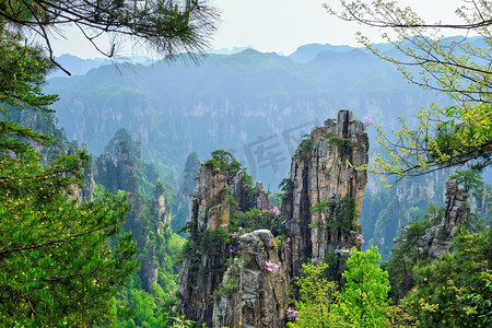 中国著名的旅游景点——中国湖南武陵源张家界石柱崖山。中国张家界山脉