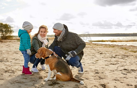 家庭、宠物和人的概念-秋天快乐的母亲、父亲和小女儿带着比格犬在海滩上。幸福的一家人带着比格犬在海滩上