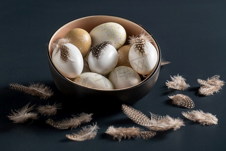 传统画摄影照片_ 画的，鸡蛋，鹌鹑，羽毛