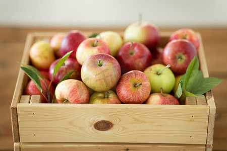 水果，食物和收获概念—成熟的苹果在木箱上的桌子。成熟的苹果在木箱在桌子上