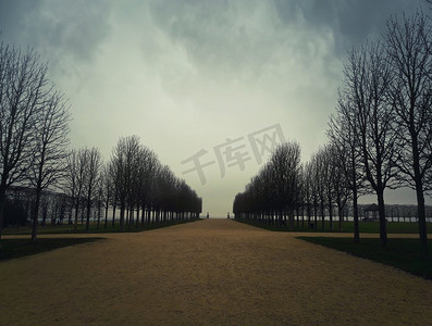 在法国巴黎圣日尔曼·莱耶宫的花园里，光秃秃的树巷。寒冷和阴沉的冬天早晨与多云的天空。