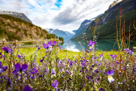 洛洛历险记摄影照片_美丽的自然挪威自然景观。洛达谷湖。