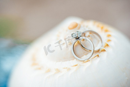 金典简约科幻图案摄影照片_海贝壳上的金结婚戒指
