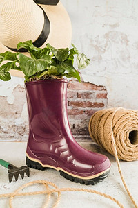 小植物种植紫色惠灵顿橡胶靴与卷轴绳帽花园叉对风化墙