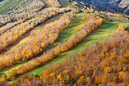 秋天的艺术家布拉夫’ Frenconia Notch State Park的秋天颜色。美国新罕布什尔州白山国家森林公园