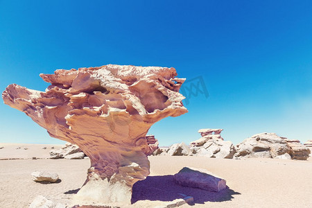 Arbol de piedra—玻利维亚的石头树岩层（Arbol de Piedra），南美洲乌尤尼盐滩
