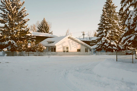 冬天有雪松树的房子
