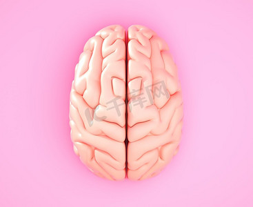 粉红色的大脑在彩色背景。3D插图。粉红色的大脑在彩色背景