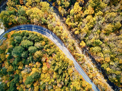 风景莫霍克小径蜿蜒的公路在秋天，马萨诸塞州，美国.秋天在新英格兰。空中无人机射击。 