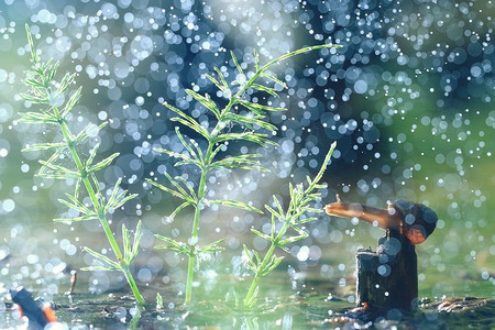 沼泽春雨上的蜗牛