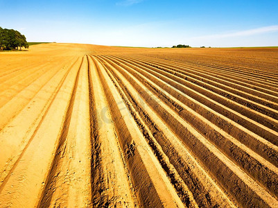 农业领域摄影照片_ 农作物，土地，农业，耕作