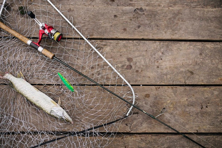 带钓竿的渔网内新鲜捕获的鱼