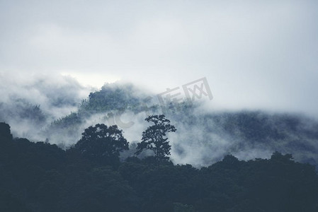 早上下雨摄影照片_泰国热带森林的山上有雾。
