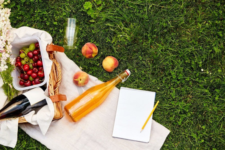 休闲和夏日概念-在草地上的野餐毯上近距离放置笔记本、食物、饮料和篮子。草地上有食物、饮料和野餐篮