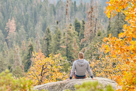 游客男子秋天在红杉国家公园徒步，眺望秋山风景。美国加利福尼亚州。