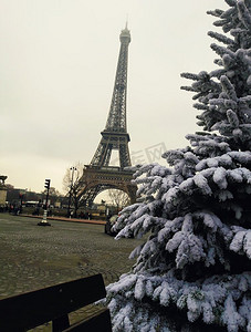 雪覆盖了冷杉树枝，圣诞树关闭在巴黎埃菲尔铁塔前，法国。