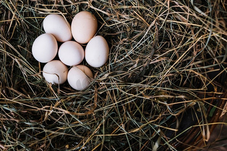 从巢顶视图新鲜鸡蛋