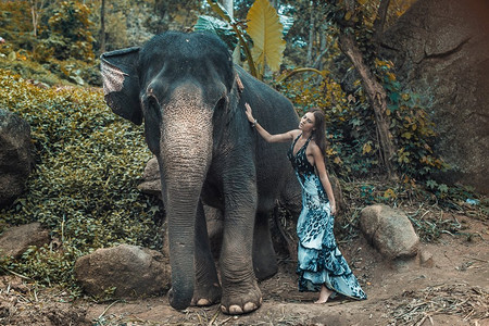 大象大全摄影照片_一位年轻漂亮的女士抱着一头大象