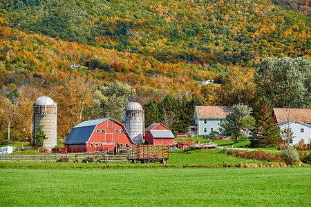 阳光明媚的秋天，美国佛蒙特州西阿灵顿有红色谷仓和筒仓的农场