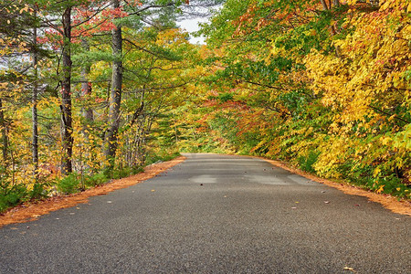 美国新罕布夏州怀特山国家森林的秋景。新英格兰的秋天。