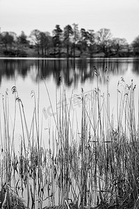 Loughrigg Tarn美丽的风景图像在英国湖区在忧郁的晚上在春天在黑色和白色