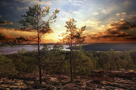 梦幻般的夏季日落—景观在北部的山区森林湖