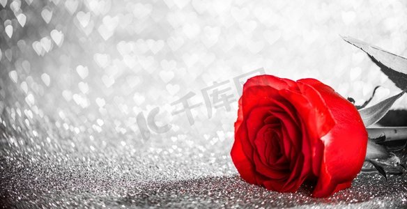 金克丝ins摄影照片_心形波克闪闪发光的背景上有美丽的红玫瑰。红玫瑰闪闪发光