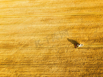 收割机在田间作业。联合收割机农业机械收割金熟麦田。农业从上面鸟瞰。