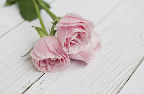 温柔摄影照片_温柔的粉色玫瑰鲜花花束
