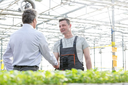 自信的男性植物学家在温室里与商人握手