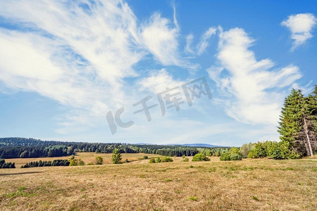 在夏季的山坡上的干燥平原在一个蓝天下在哈尔茨，德国