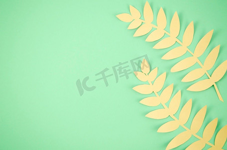 装饰性文案摄影照片_可爱的长叶子，背景是绿色的文案