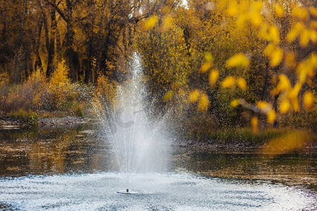 喷泉在美丽的秋天公园树禾木